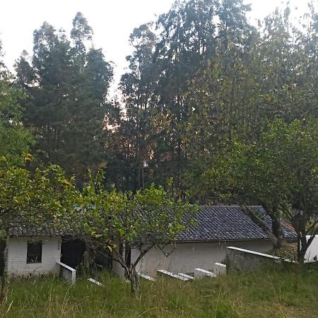 Quinta Los Eucaliptos Villa Quito Eksteriør bilde