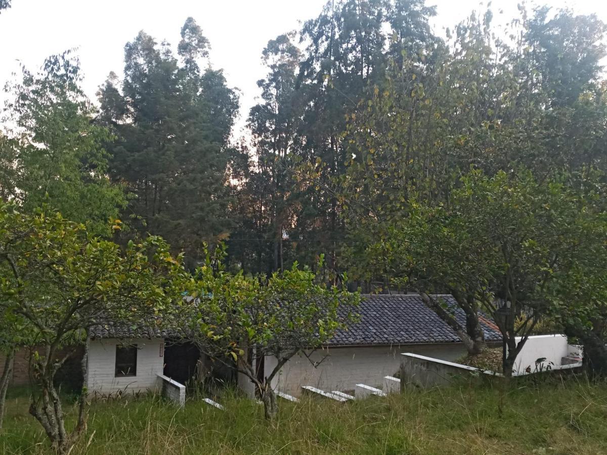 Quinta Los Eucaliptos Villa Quito Eksteriør bilde